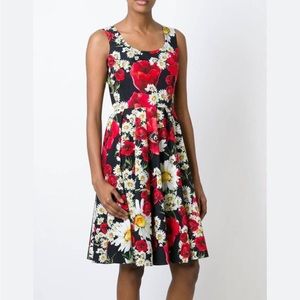 Nwt dolce&gabbana poppy daisy print dress